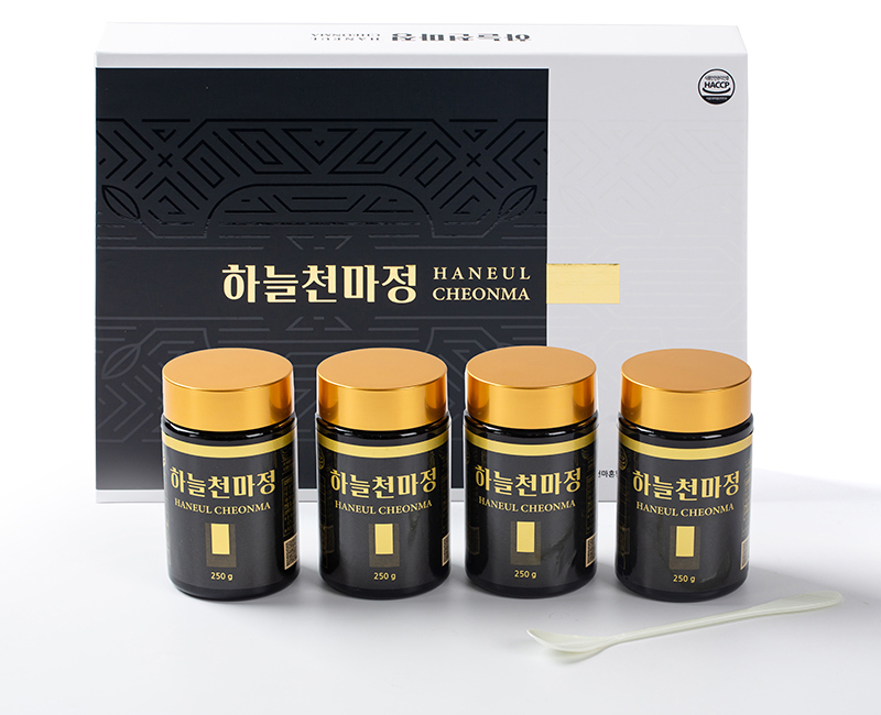 하늘천마정